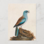 sierrol | William Lewin Briefkaart (Voorkant)