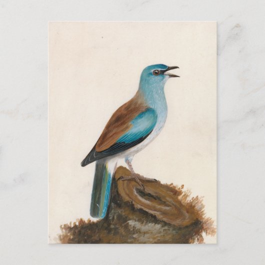 sierrol | William Lewin Briefkaart (Voorkant)