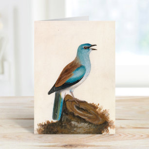 sierrol   William Lewin Kaart