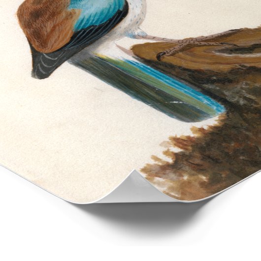 sierrol | William Lewin Poster (Hoek)