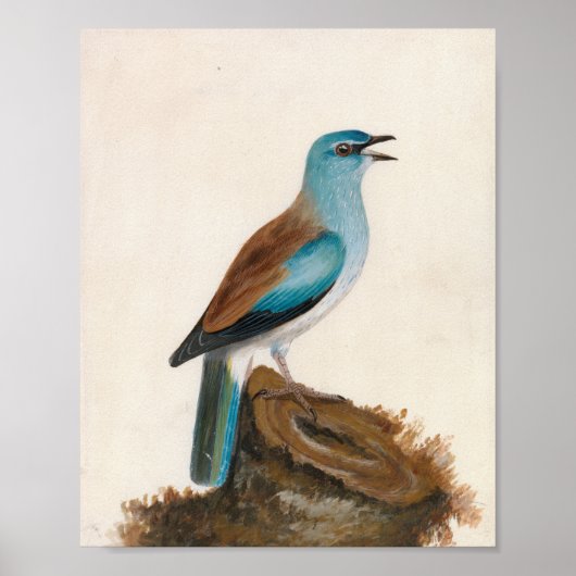 sierrol | William Lewin Poster (Voorkant)