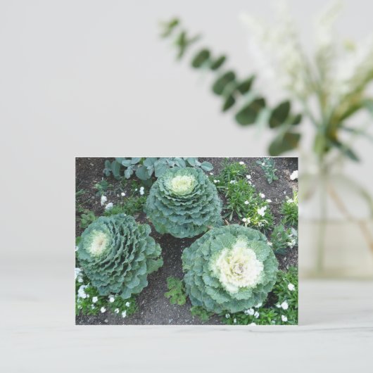 siersteen briefkaart (Staand voorkant)