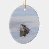 Sierstuk Diamondback Moerasschildpad Gezicht Keramisch Ornament (Rechts)