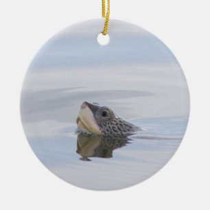 Sierstuk Diamondback Moerasschildpad Gezicht Keramisch Ornament