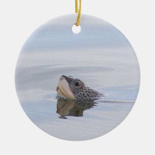 Sierstuk Diamondback Moerasschildpad Gezicht Keramisch Ornament (Voorkant)