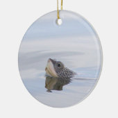 Sierstuk Diamondback Moerasschildpad Gezicht Keramisch Ornament (Links)