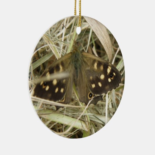 Siervlinder Vlinder Ornament (Rechts)