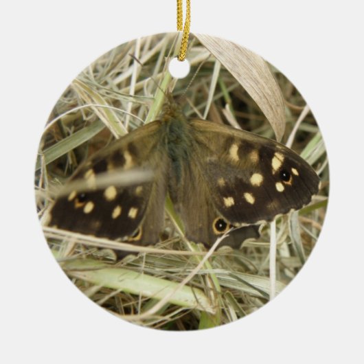 Siervlinder Vlinder Ornament (Voorkant)