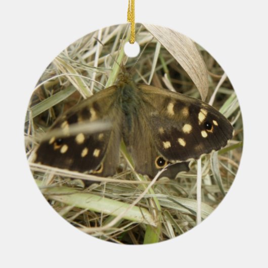 Siervlinder Vlinder Ornament (Achterkant)