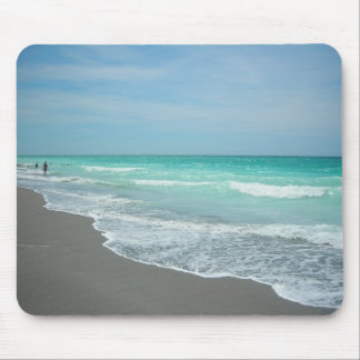 Siesta Key Beach Muismat