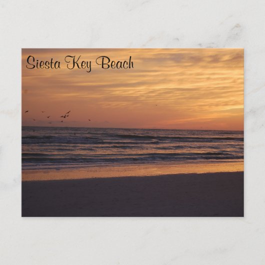 Siesta Key Beach Sunset Briefkaart (Voorkant)