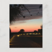Siesta Key Beach Sunset Briefkaart (Voorkant)