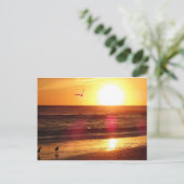 Siesta Key Beach Sunset Briefkaart (Staand voorkant)