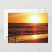 Siesta Key Beach Sunset Briefkaart (Voorkant / Achterkant)