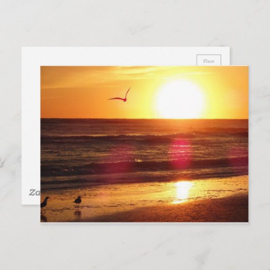 Siesta Key Beach Sunset Briefkaart (Voorkant / Achterkant)