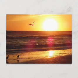 Siesta Key Beach Sunset Briefkaart