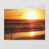 Siesta Key Beach Sunset Briefkaart (Voorkant)