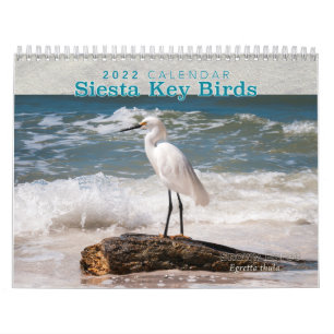 Siesta Key Birds - Agenda 2022 Kalender