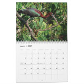 Siesta Key Birds - Agenda 2022 Kalender (Mar 2027)