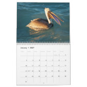 Siesta Key Birds - Agenda 2022 Kalender (Jan 2027)