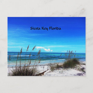 Siesta Key briefkaart