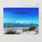 Siesta Key briefkaart (Voorkant)