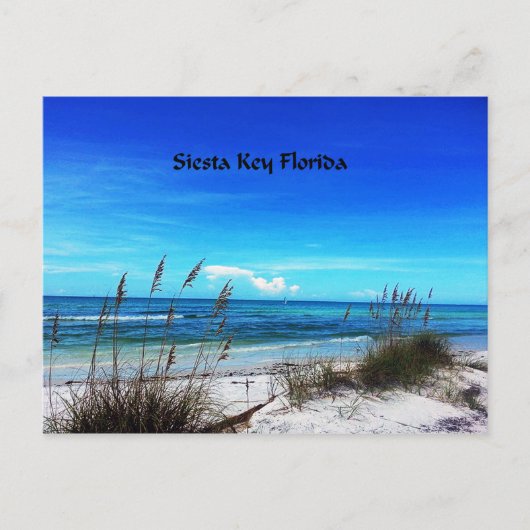 Siesta Key briefkaart (Voorkant)
