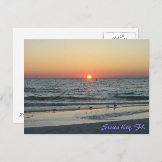 Siesta Key Florida Sunset Briefkaart (Voorkant / Achterkant)