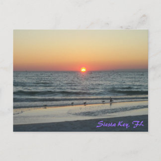 Siesta Key Florida Sunset Briefkaart