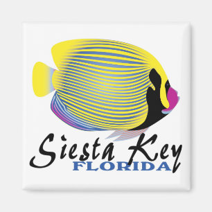 Siesta Key Florida tropische vismagnet Magneet