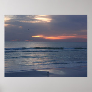 Siesta Key Zonsondergangen Poster