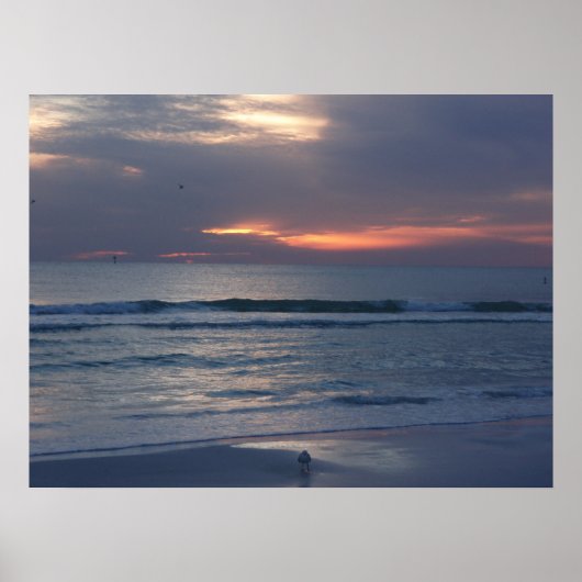 Siesta Key Zonsondergangen Poster (Voorkant)