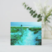 Siesta Keys Beach in Colored Edges Thleed Gifts Briefkaart (Staand voorkant)
