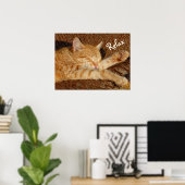 Siesta - Relaxing Cat Poster (Thuiskantoor)