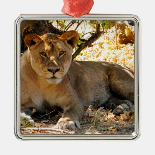 Siësta Tijd Metalen Ornament (Voorkant)