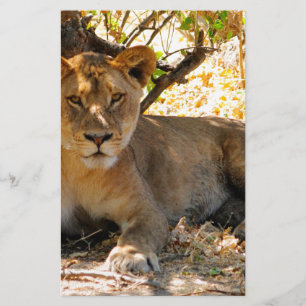 Siesta Time Briefpapier