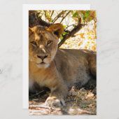 Siesta Time Briefpapier (Voorkant / Achterkant)