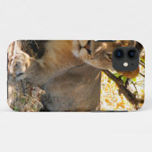 Siesta Time Case-Mate iPhone Case (Achterkant (horizontaal))