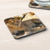 Siesta Time Drankjes Onderzetter (Linkerzijde)