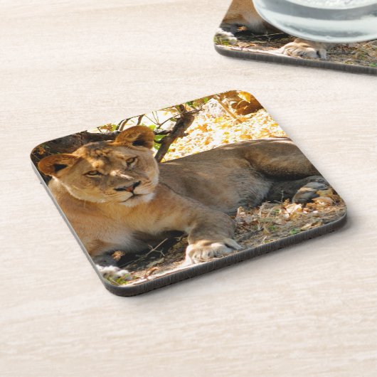 Siesta Time Drankjes Onderzetter (Linkerzijde)