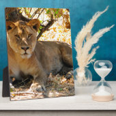 Siesta Time Fotoplaat (Zijkant)