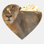 Siesta Time Hart Sticker (Voorkant)