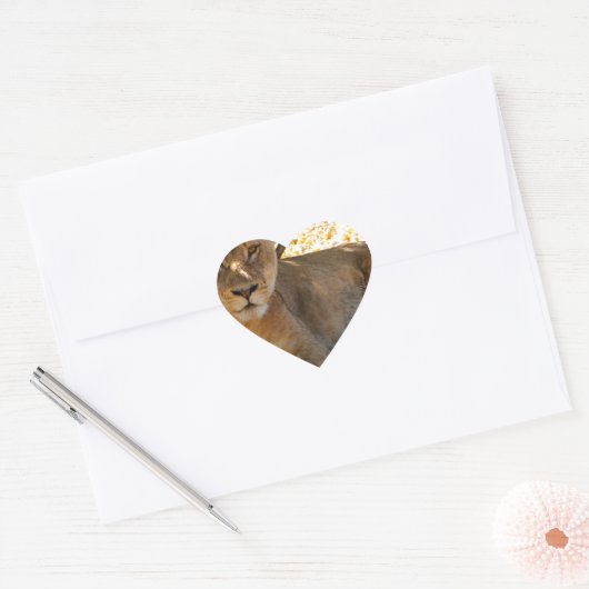 Siesta Time Hart Sticker (Envelop)