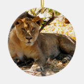 Siesta Time Keramisch Ornament (Voorkant)