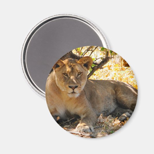 Siesta Time Magneet (Voorkant / Achterkant)