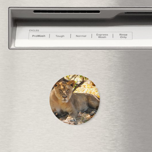 Siesta Time Magneet (Insitu (Vaatwasser))