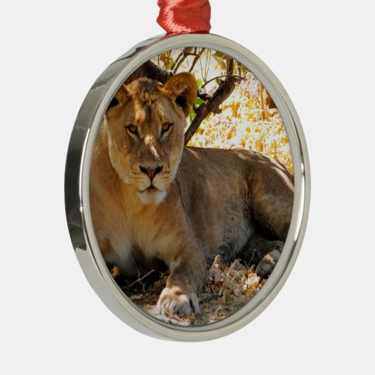 Siesta Time Metalen Ornament (Rechts)