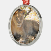 Siesta Time Metalen Ornament (Links)