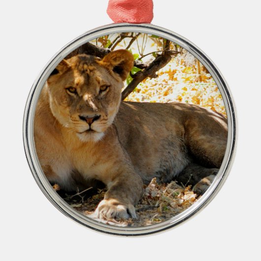 Siesta Time Metalen Ornament (Voorkant)