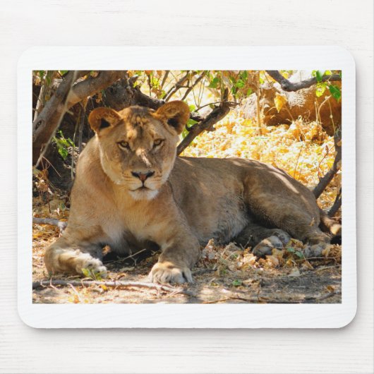 Siesta Time Muismat (Voorkant)